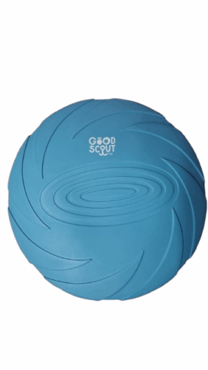 Frisbee Azul Good Scout